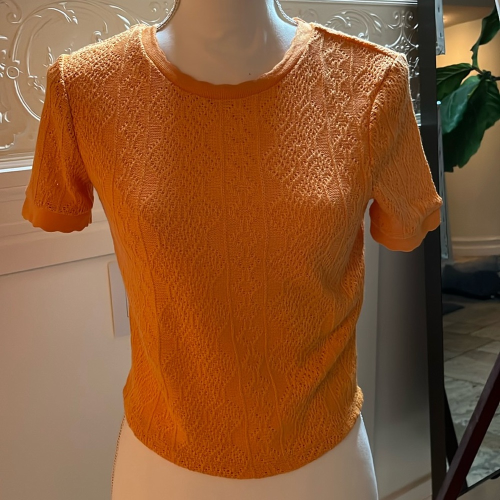 Zara knit short sleeve crop top crew neck  size Med New